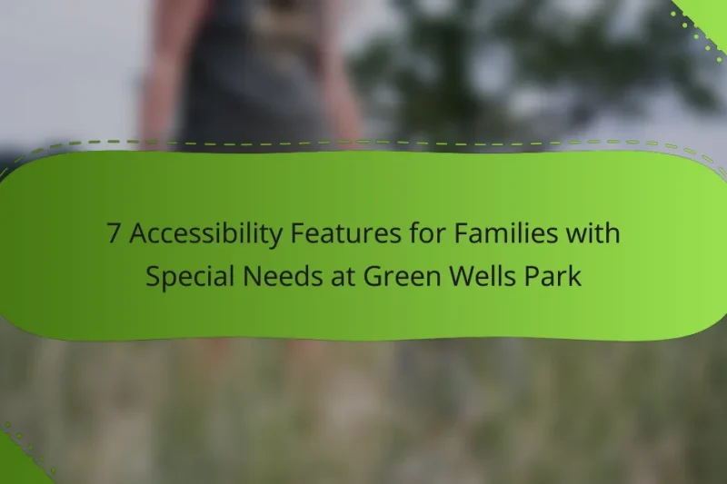 7 Accessibility Features for Families with Special Needs at Green Wells Park