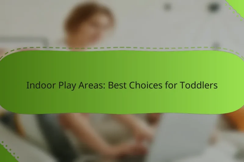 Indoor Play Areas: Best Choices for Toddlers