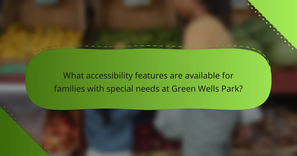 What accessibility features are available for families with special needs at Green Wells Park?