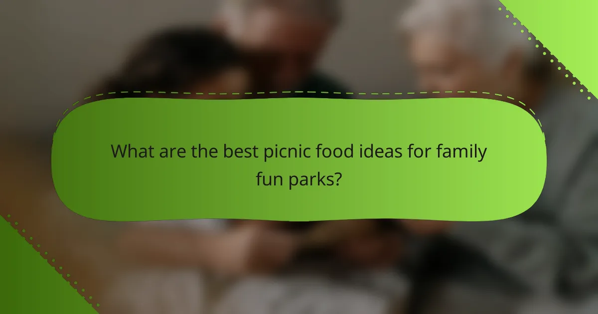 What are the best picnic food ideas for family fun parks?