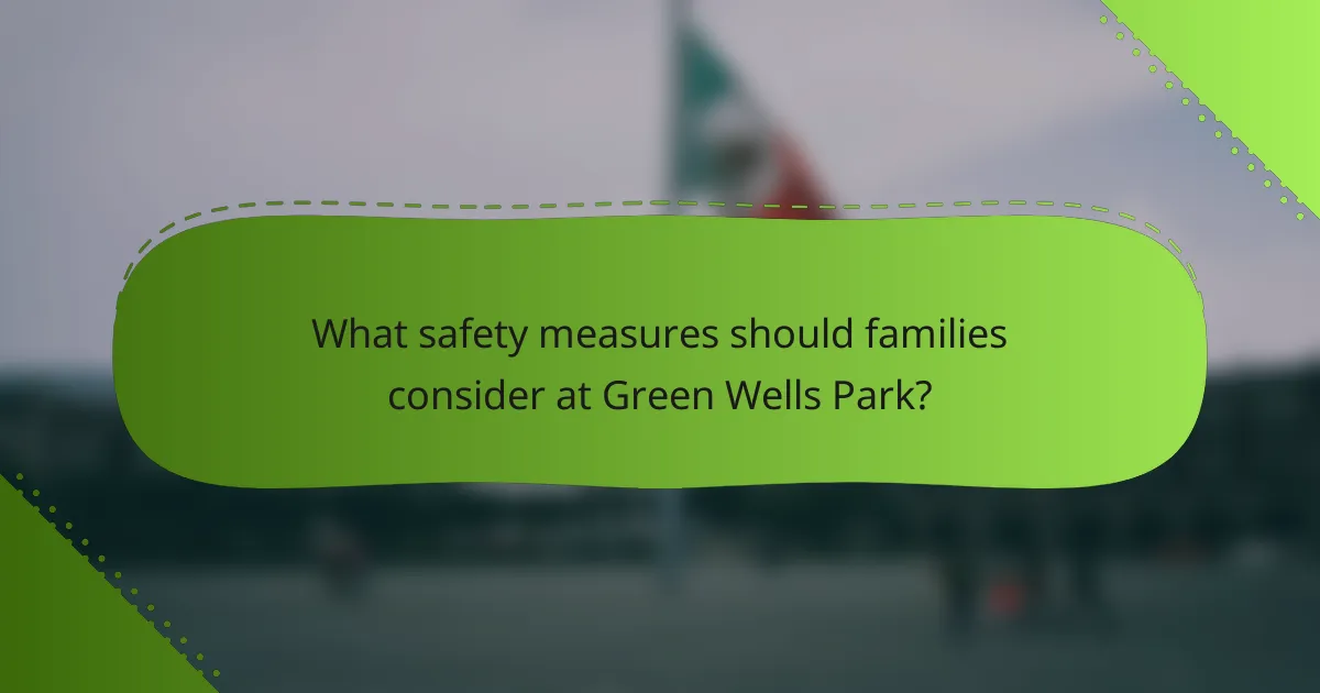 What safety measures should families consider at Green Wells Park?