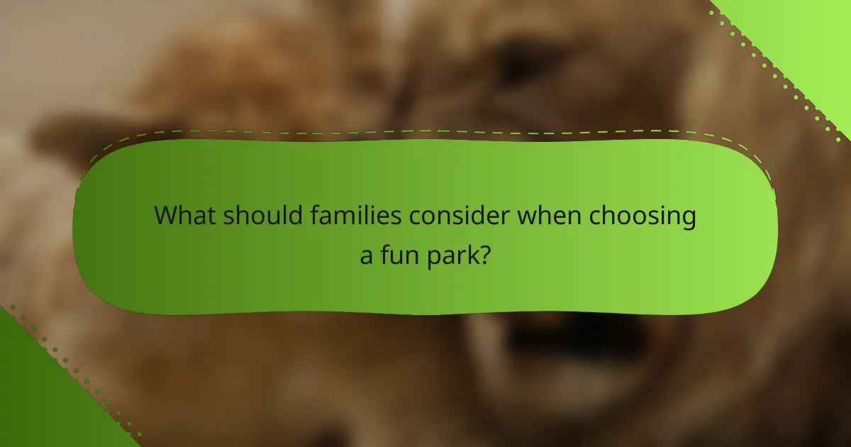 What should families consider when choosing a fun park?